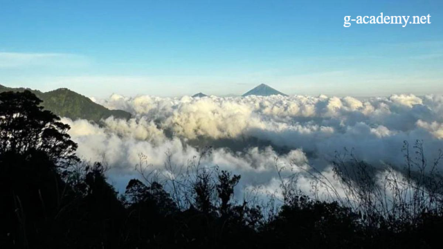 Gunung Tertinggi di Indonesia & Fakta Menariknya